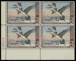 Scan of RW29 1962 Duck Stamp 