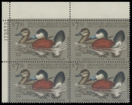 Scan of RW48 1981 Duck Stamp 