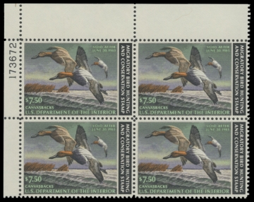 Scan of RW49 1982 Duck Stamp 
