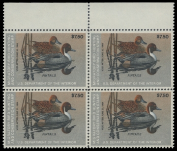 Scan of RW50 1983 Duck Stamp 