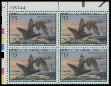 Scan of RW63 1996 Duck Stamp 
