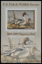 Scan of RW75B 2008 Duck Stamp 
