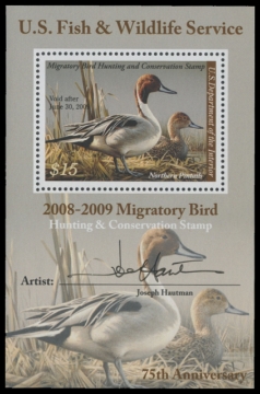 Scan of RW75B 2008 Duck Stamp 