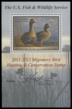 Scan of RW78B 2011 Duck Stamp 