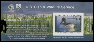 Scan of RW80A 2013 Duck Stamp 
