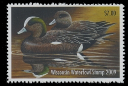 Scan of 2009 Wisconsin Duck Stamp