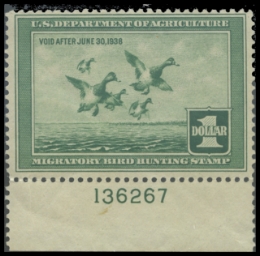 Scan of RW4 1937 Duck Stamp