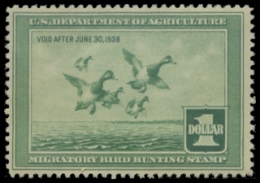 Scan of RW4 1937 Duck Stamp 