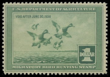 Scan of RW4 1937 Duck Stamp 