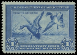 Scan of RW1 1934 Duck Stamp 