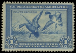 Scan of RW1 1934 Duck Stamp 