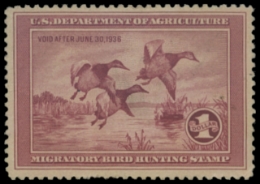 Scan of RW2 1935 Duck Stamp 