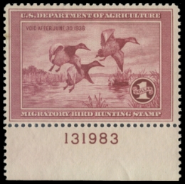 Scan of RW2 1935 Duck Stamp 
