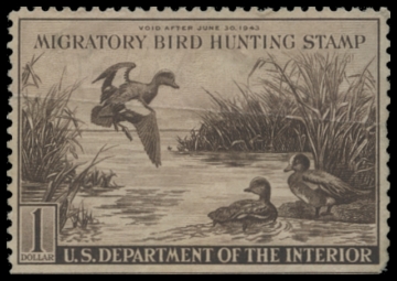 Scan of RW9 1942 Duck Stamp 