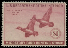 Scan of RW10 1943 Duck Stamp 