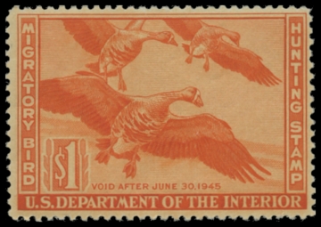 Scan of RW11 1944 Duck Stamp 