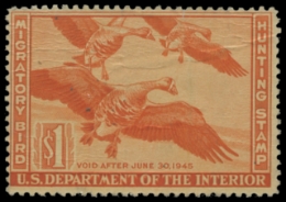 Scan of RW11 1944 Duck Stamp 