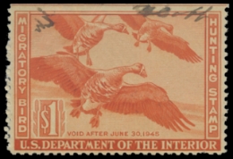 Scan of RW11 1944 Duck Stamp 