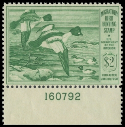 Scan of RW16 1949 Duck Stamp 