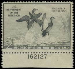 Scan of RW18 1951 Duck Stamp 