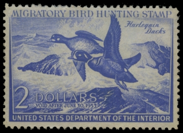 Scan of RW19 1952 Duck Stamp 