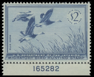 Scan of RW22 1955 Duck Stamp 