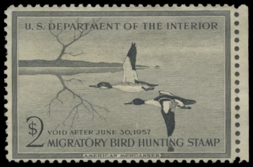Scan of RW23 1956 Duck Stamp 