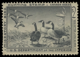 Scan of RW25 1958 Duck Stamp 