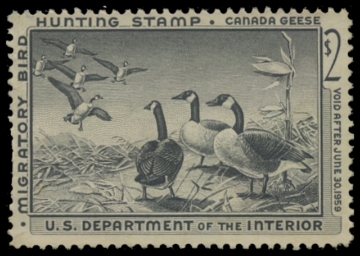 Scan of RW25 1958 Duck Stamp 