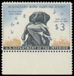 Scan of RW26 MNH Duck Stamp