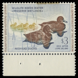 Scan of RW27 1960 Duck Stamp 