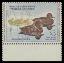 Scan of RW27 1960 Duck Stamp 