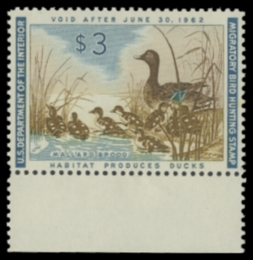 Scan of RW28 1966 Duck Stamp 