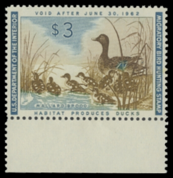 Scan of RW28 1966 Duck Stamp 