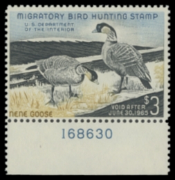 Scan of RW31 1964 Duck Stamp 
