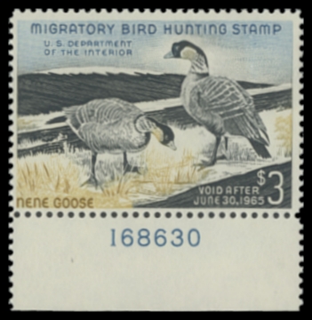 Scan of RW31 1964 Duck Stamp 