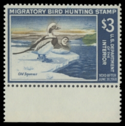 Scan of RW34 1967 Duck Stamp 