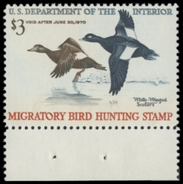 Scan of RW36 1969 Duck Stamp 