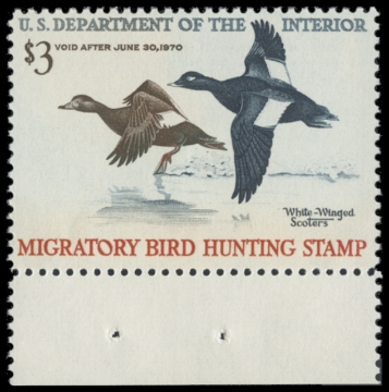 Scan of RW36 1969 Duck Stamp 