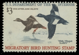 Scan of RW36 1969 Duck Stamp 