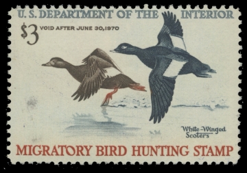 Scan of RW36 1969 Duck Stamp 
