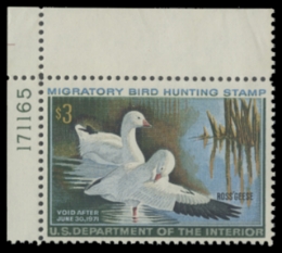 Scan of RW37 1970 Duck Stamp 
