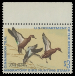 Scan of RW38 1971 Duck Stamp 
