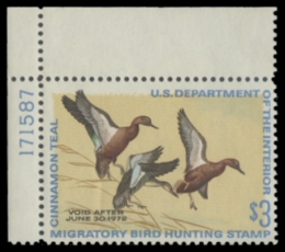 Scan of RW38 1971 Duck Stamp 