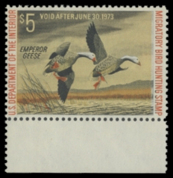 Scan of RW39 1972 Duck Stamp 