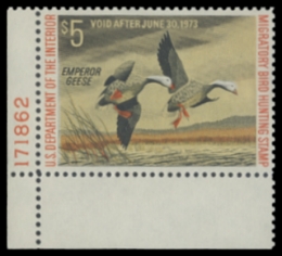 Scan of RW39 1972 Duck Stamp 