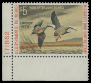 Scan of RW39 1972 Duck Stamp 