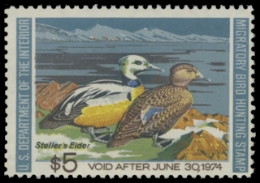 Scan of RW40 1973 Duck Stamp 
