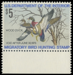 Scan of RW41 1974 Duck Stamp 