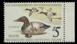 Scan of RW42 1975 Duck Stamp 